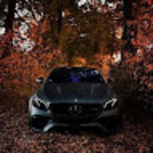 Meet your Posher, Salimjon